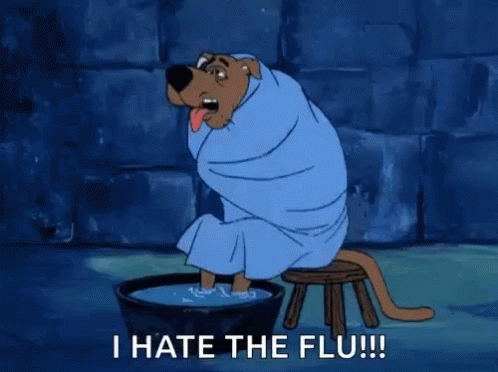 Sick Scooby Doo GIF