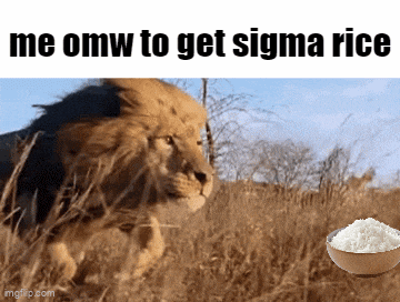 Sigma Rice GIF