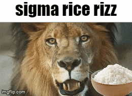 Sigma Rice GIF
