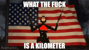 Signalis Elster GIF