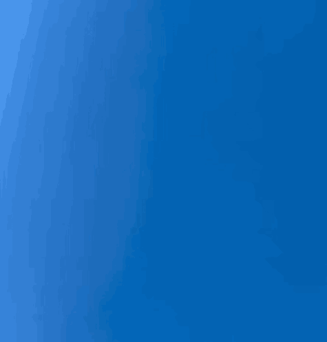 Silly Animal GIF