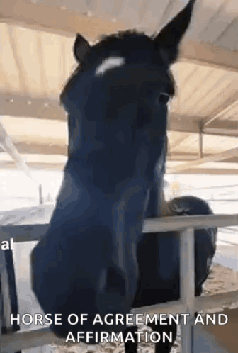 Silly Funny GIF