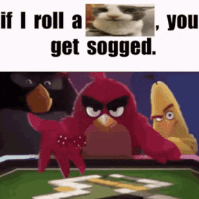 Sillyfuny Soggy Cat GIF