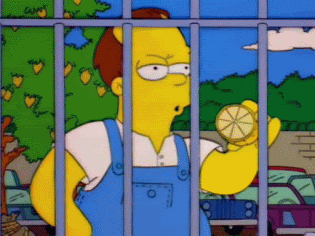 Simpson Citron GIF
