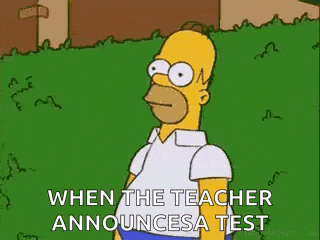 Simpsons Homer Simpson GIF