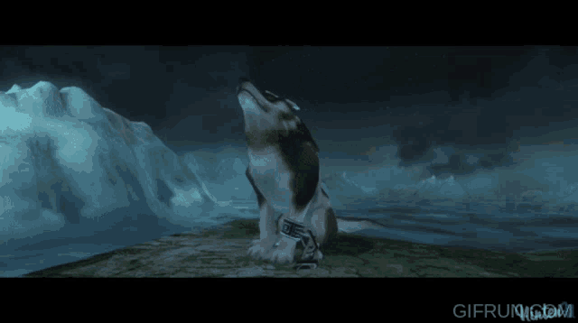Singing Link Singing Wolf GIF