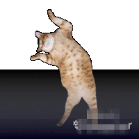 Sinky Dance Sticker