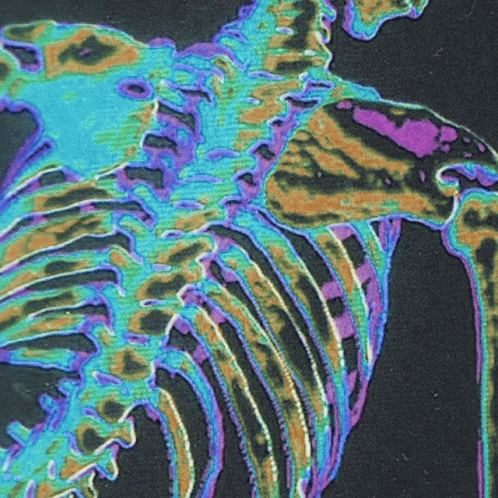 Skeleton Get Down Make Love GIF