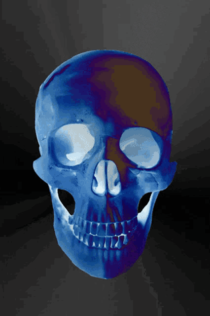 Skull Blue GIF