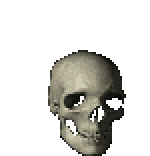 Skull Sticker