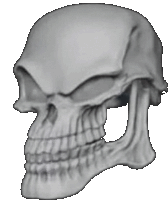 Skull Skull Emoji Sticker