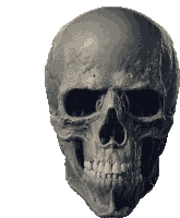 Skully Sticker