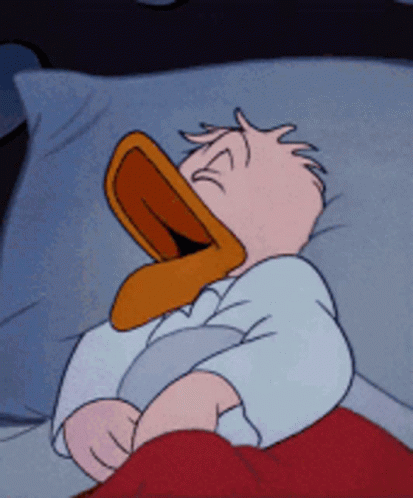 Sleep GIF