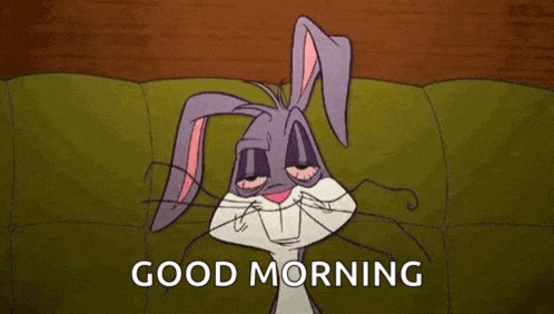 Sleep Meme