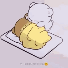 Sleep Sleeping Couple GIF