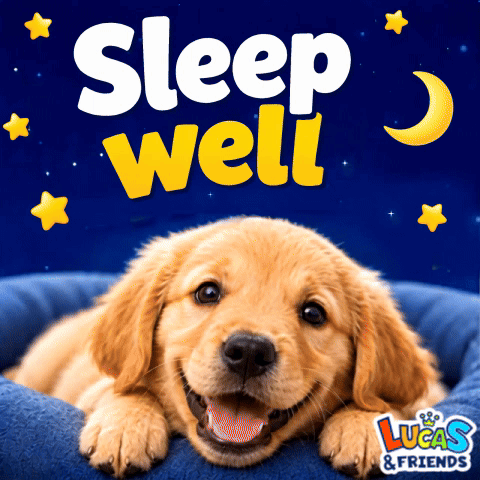 Sleep Well Good Night GIF