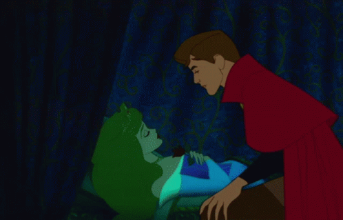 Sleeping Beauty Prince Phillip GIF