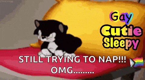 Sleepy Cat Sleeping Cats GIF