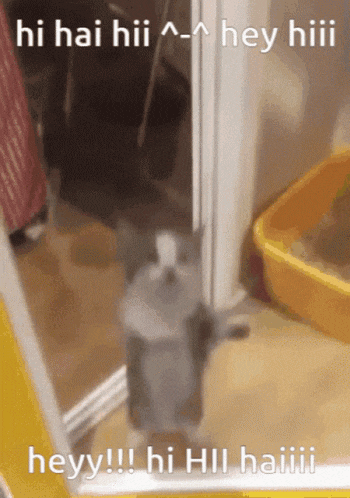 Sleepy Cat GIF