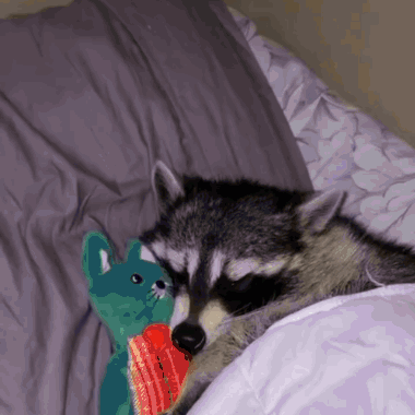 Sleepy Tired GIF