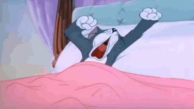 Sleepy Yawn GIF