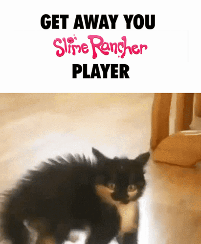 Slime Rancher Get Away GIF
