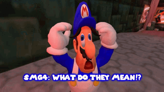 Smg4 What Do They Mean GIF