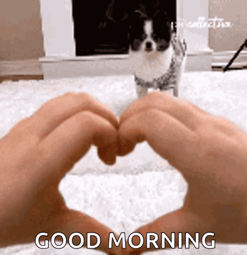 Smile Happy GIF