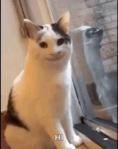Smiling Cat Creepy Cat GIF