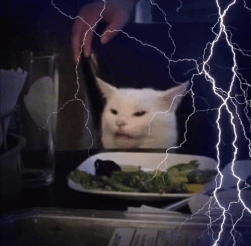 Smudge Smudge Cat GIF