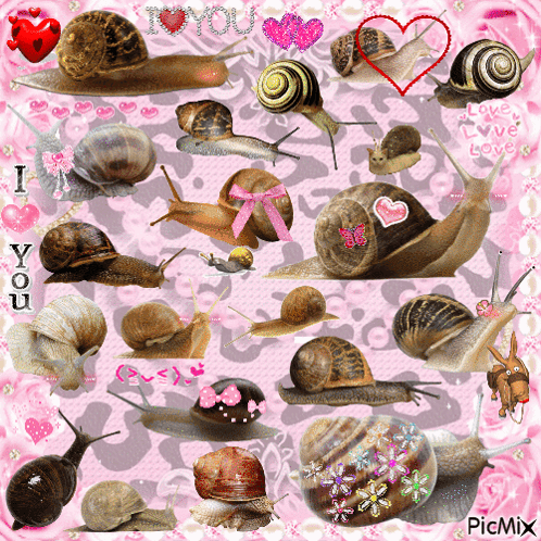 Snails Picmix GIF