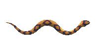 Snake Sticker