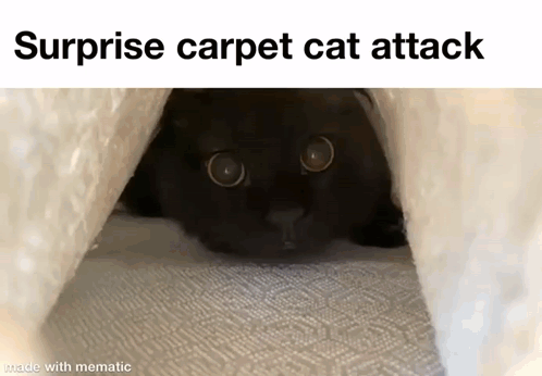 Sneak Attack Surprise GIF