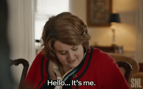 Snl Saturday Night Live GIF
