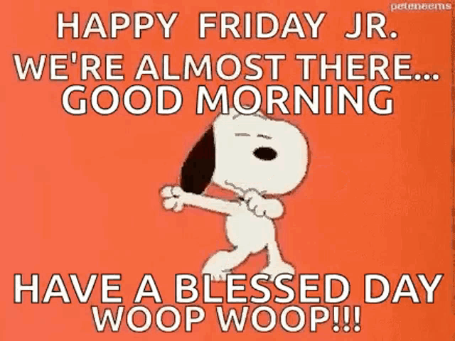 Snoopy Were Almost There GIF