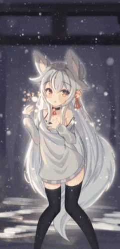 Snow Cat GIF