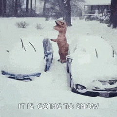 Snow Heavy Snow GIF