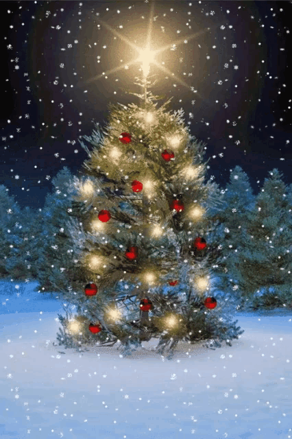 Snow Let GIF