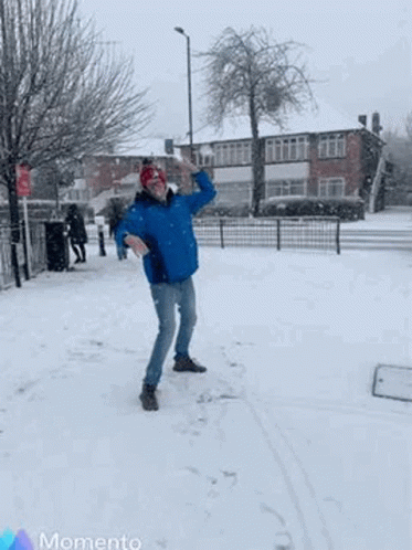 Snow Snowball GIF