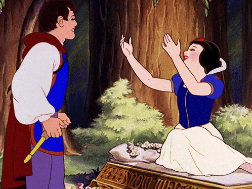 Snow White Prince GIF