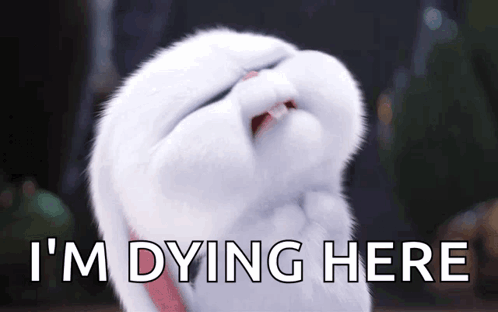 Snowball Bunny GIF