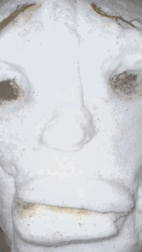 Snowman Mewing GIF