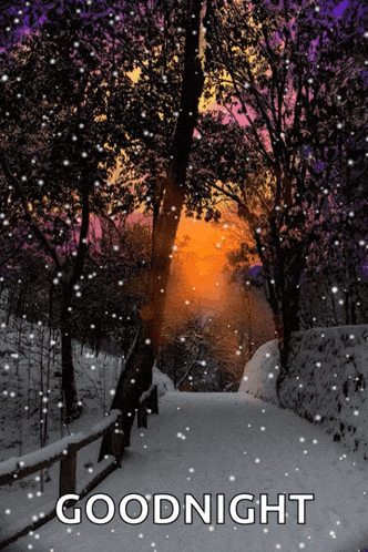 Snowy Day Winter GIF
