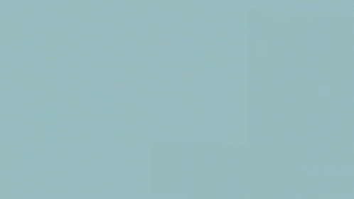 Snowy Owl Finance GIF