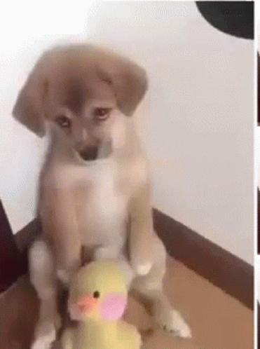 So Bye Sad GIF