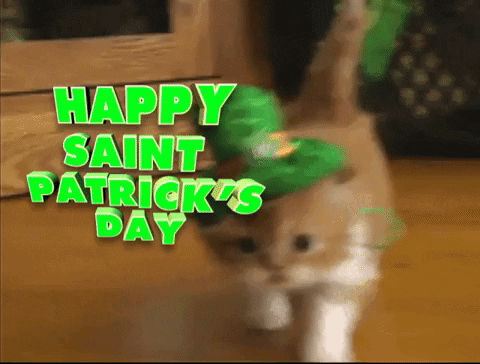So Cute Aww GIF