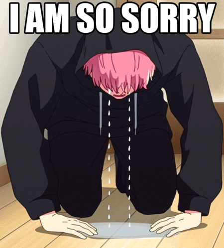 So Sorry My Fault GIF