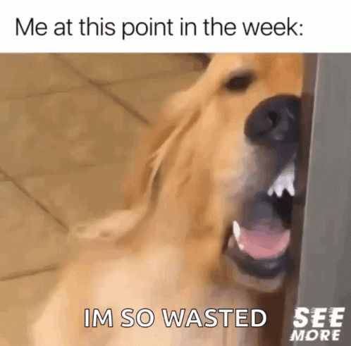 So Tired Tired GIF