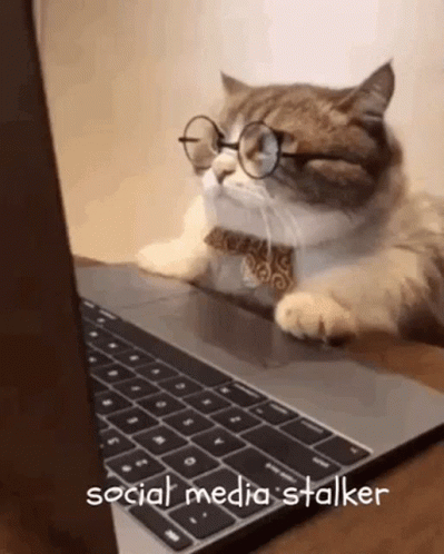 Social Media GIF