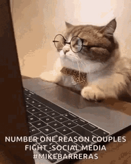 Social Media No GIF